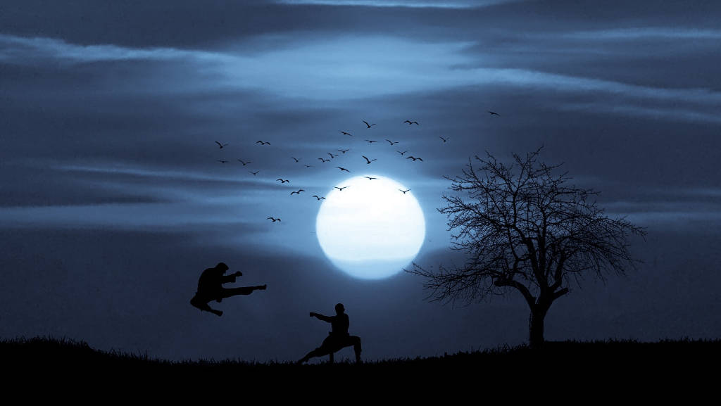 Mondlicht, zwei Karatekämpfer, der eine springt mit Fußtritt auf den anderen zu. Oben fliegen Vögel